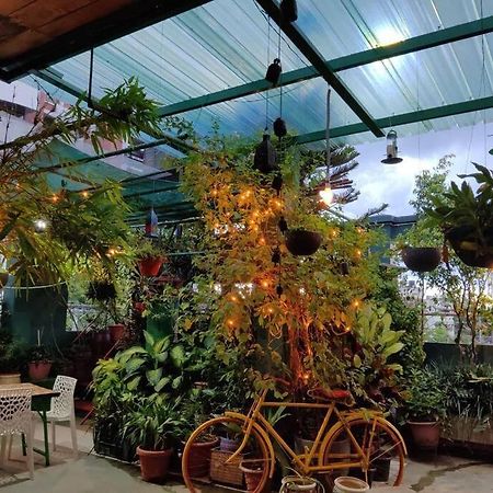 The Nook Rooftop Condo And Garden 古瓦哈提 外观 照片