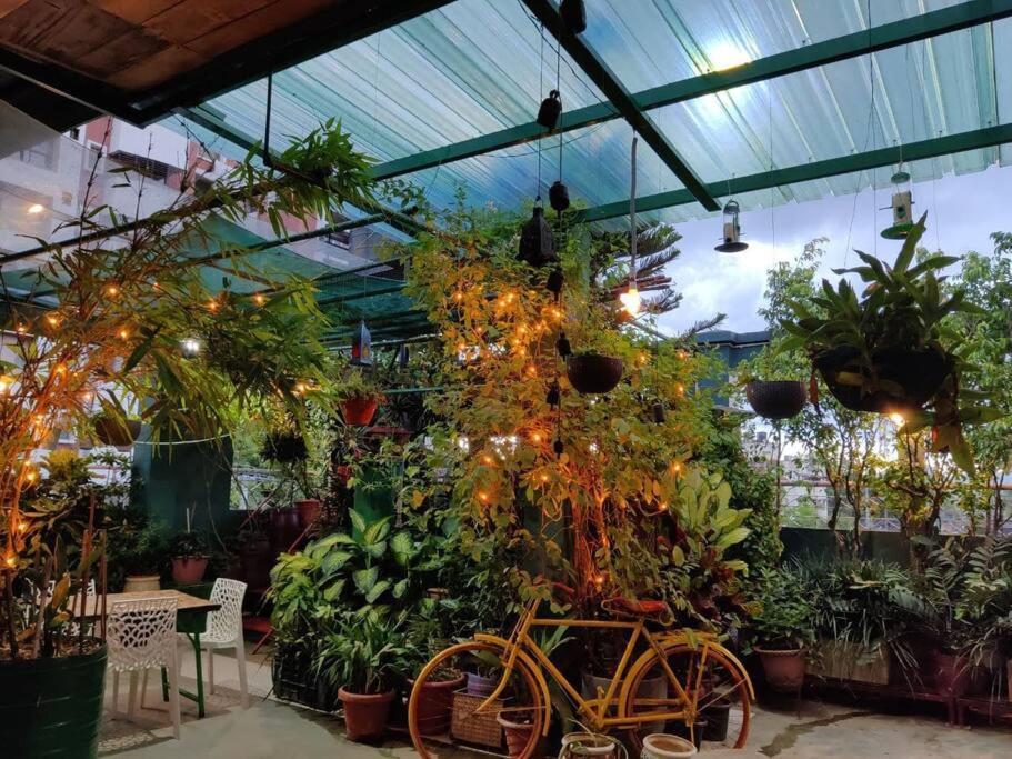 The Nook Rooftop Condo And Garden 古瓦哈提 外观 照片